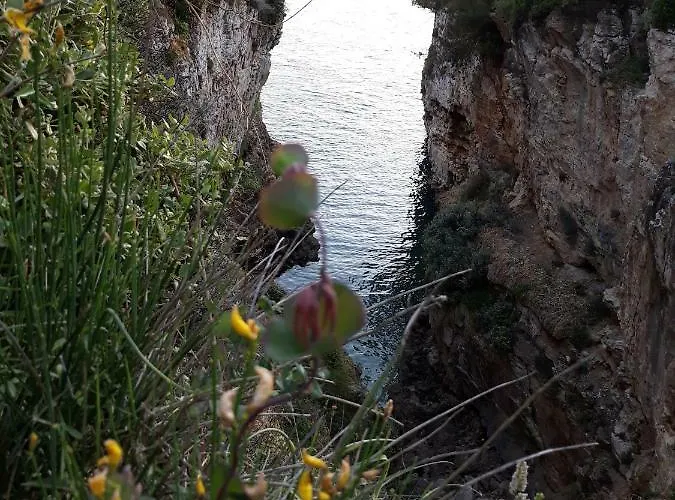 Apartment Adria Vista Mare - Modern With Sea View